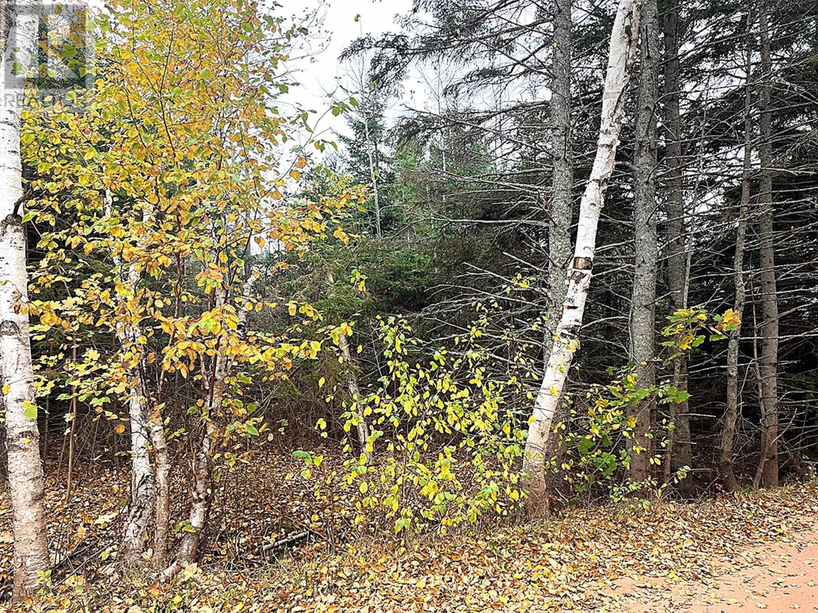 Lot 9 Birds Eye Drive, Rocky Point, Prince Edward Island  C0A 1H0 - Photo 4 - 202419023