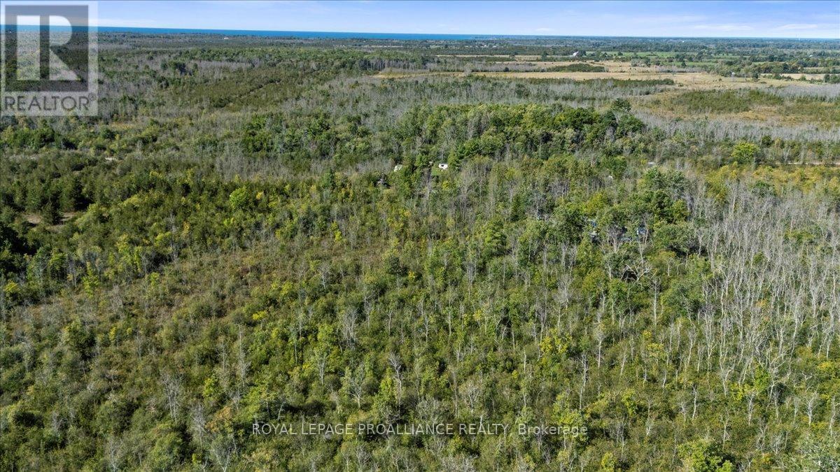 467 Lighthall Road, Prince Edward County, Ontario  K0K 2P0 - Photo 7 - X12380989