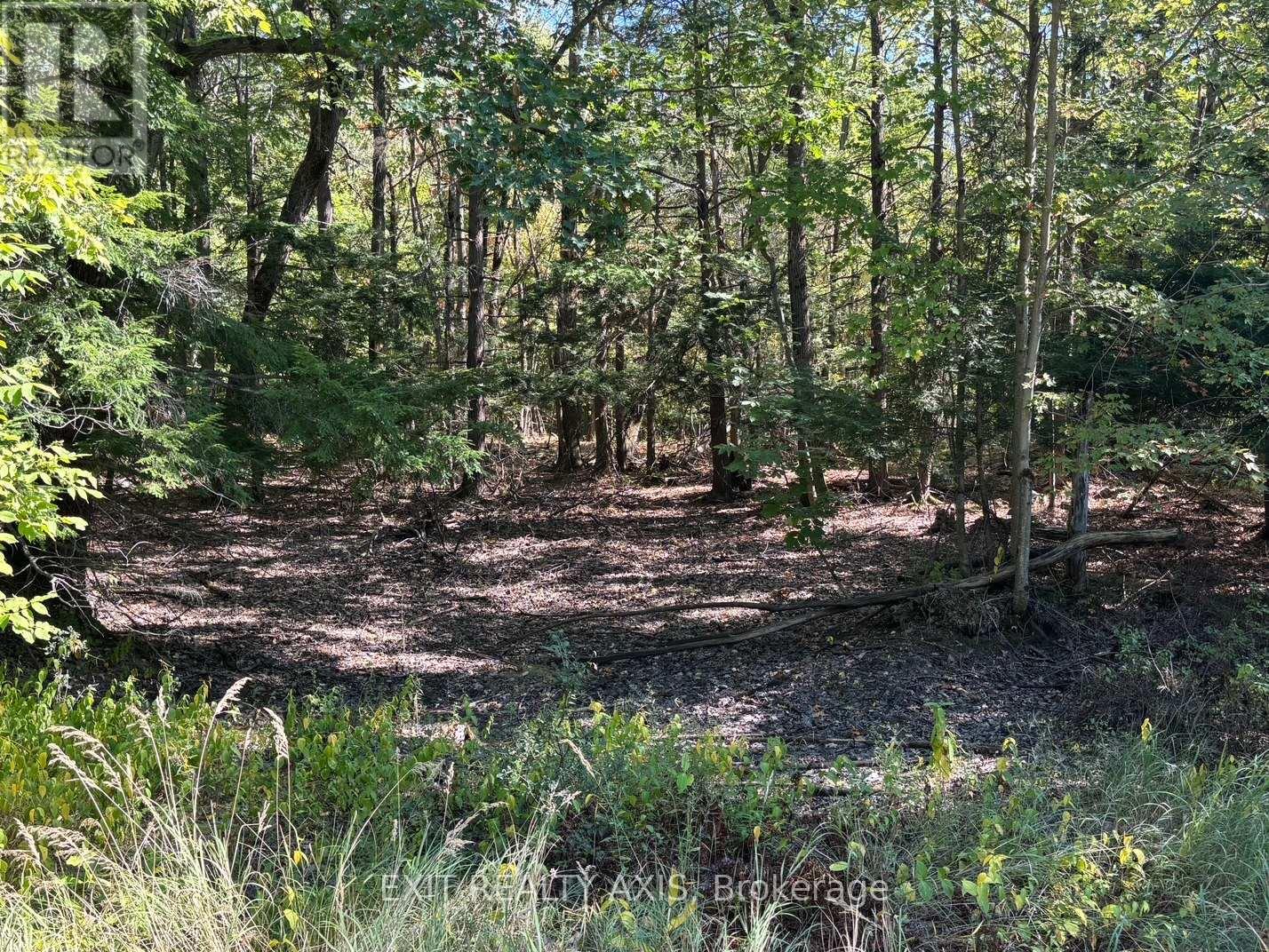 00 Isthmus Road, Rideau Lakes, Ontario  K0G 1E0 - Photo 2 - X12378234