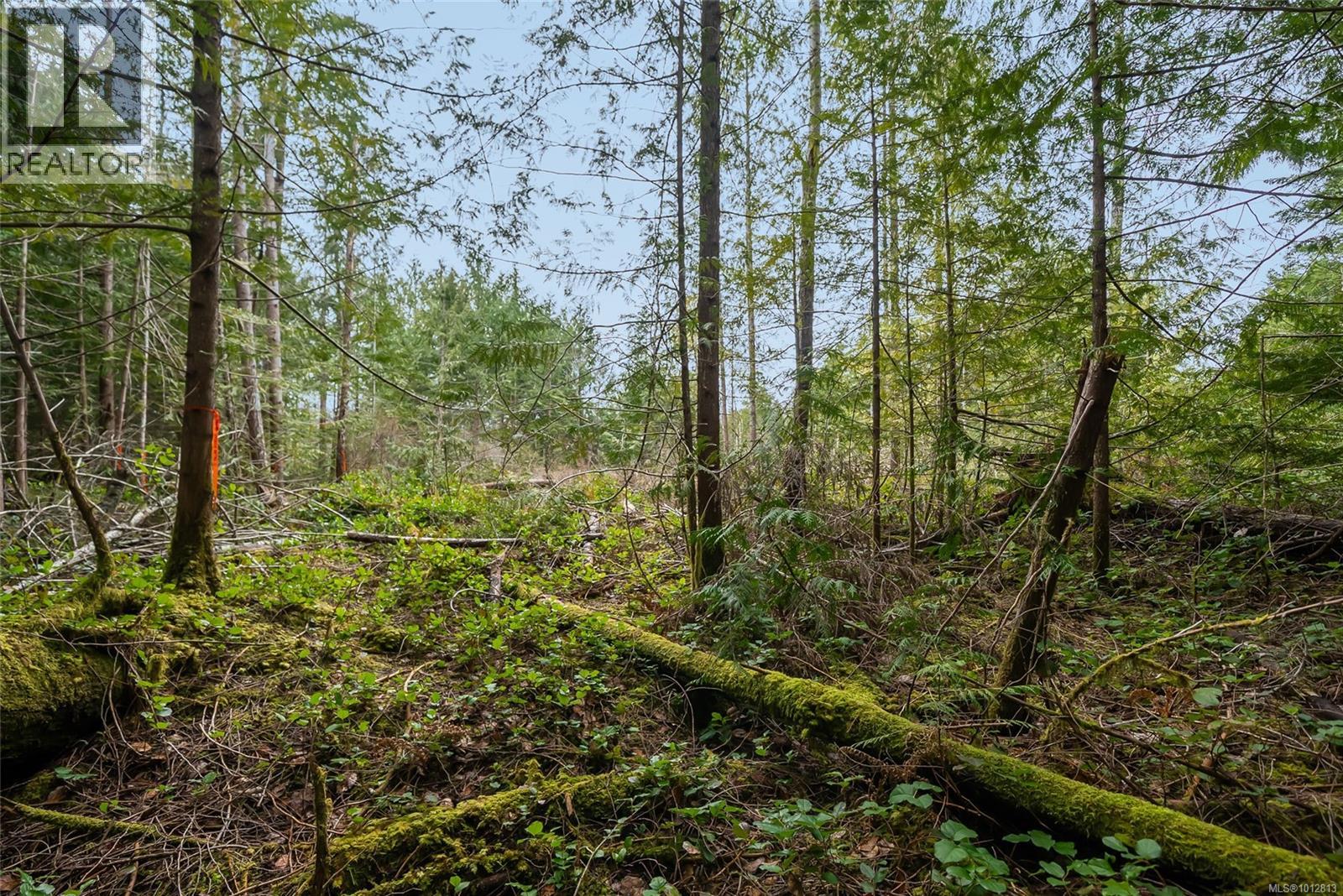 815 Spider Lake Rd, Qualicum Beach, British Columbia  V9K 2L7 - Photo 20 - 1012813