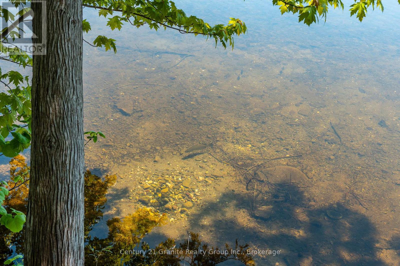 359 Avery Point Road, Kawartha Lakes, Ontario  L0K 1W0 - Photo 39 - X12381236