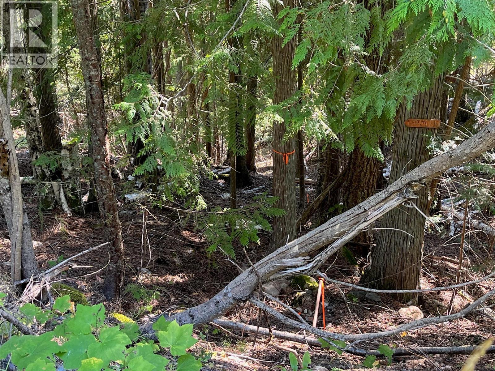 Lot 43 Vickers Trail Lot# 43, Anglemont, British Columbia