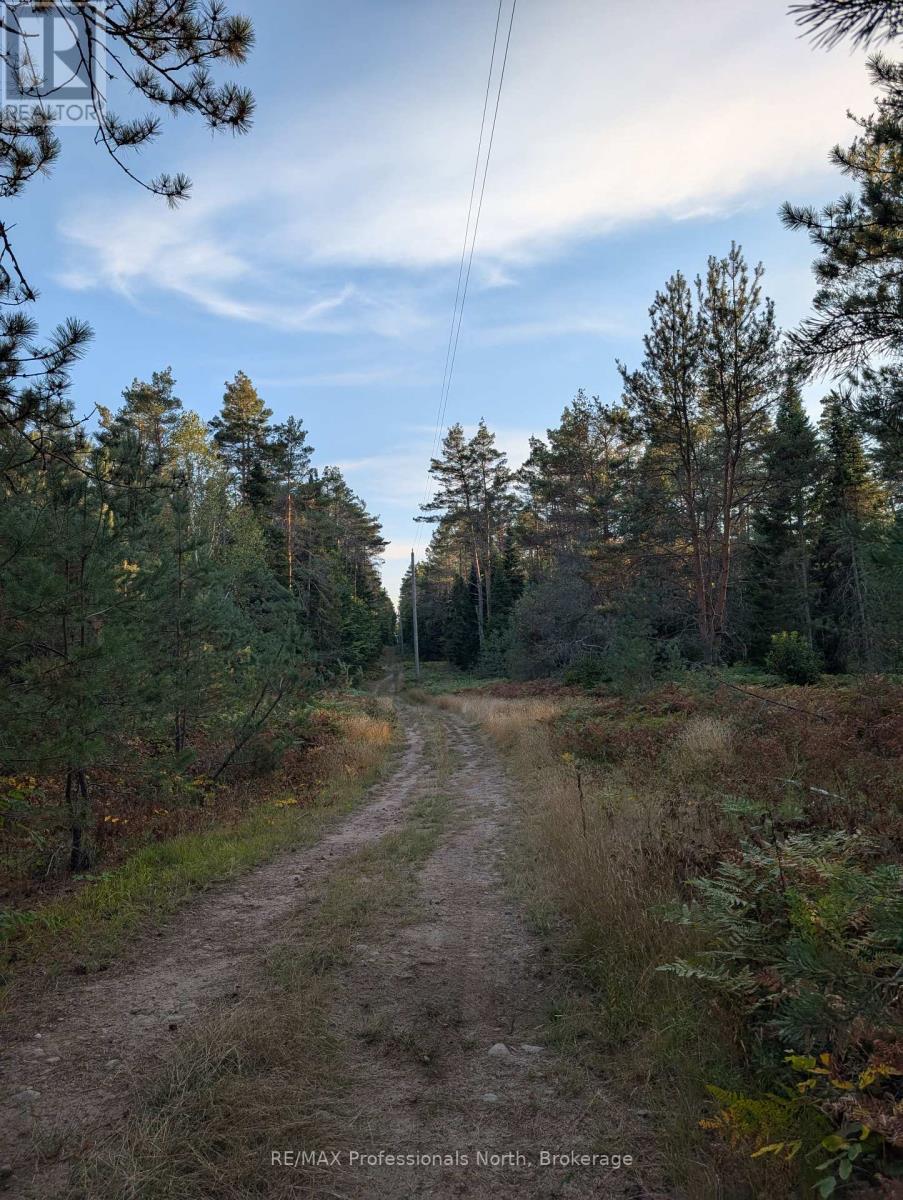 2204 Yearley Road, Mcmurrich/monteith (Mcmurrich), Ontario  P0A 1Y0 - Photo 13 - X12381465