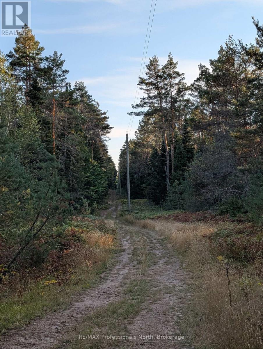 2204 Yearley Road, Mcmurrich/monteith (Mcmurrich), Ontario  P0A 1Y0 - Photo 14 - X12381465