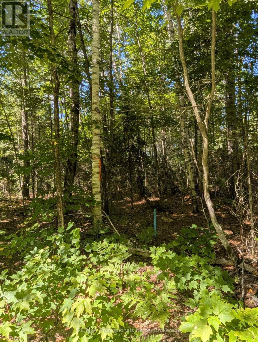 2204 Yearley Road, Mcmurrich/monteith, Ontario  P0A 1Y0 - Photo 2 - X12381465