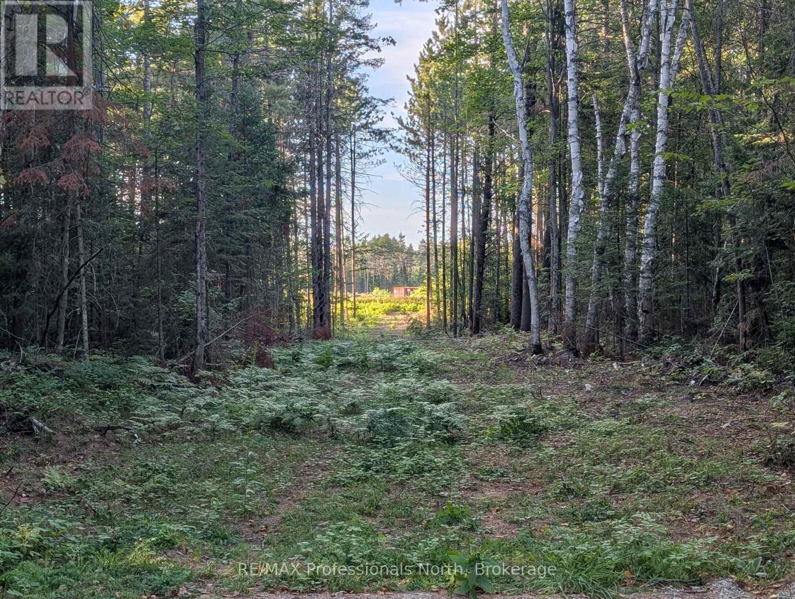 2204 Yearley Road, Mcmurrich/monteith, Ontario  P0A 1Y0 - Photo 5 - X12381465