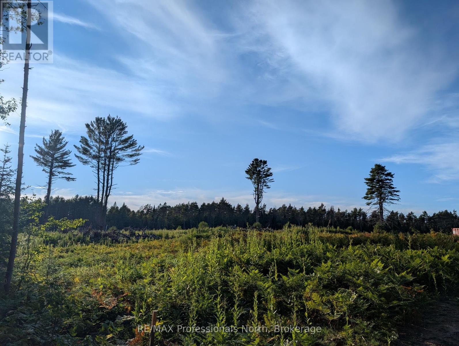 2204 Yearley Road, Mcmurrich/monteith, Ontario  P0A 1Y0 - Photo 6 - X12381465
