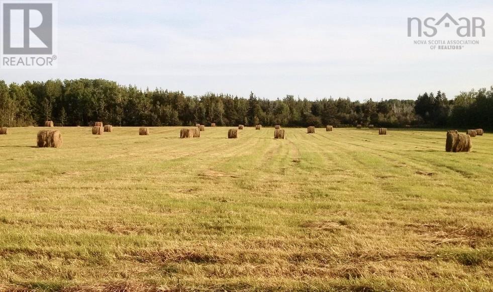 1316 Blue Sea Road, Malagash Point, Nova Scotia  B0K 1E0 - Photo 23 - 202513796