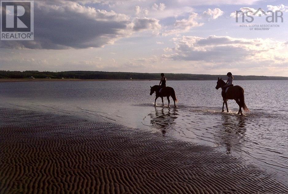 1316 Blue Sea Road, Malagash Point, Nova Scotia  B0K 1E0 - Photo 24 - 202513796