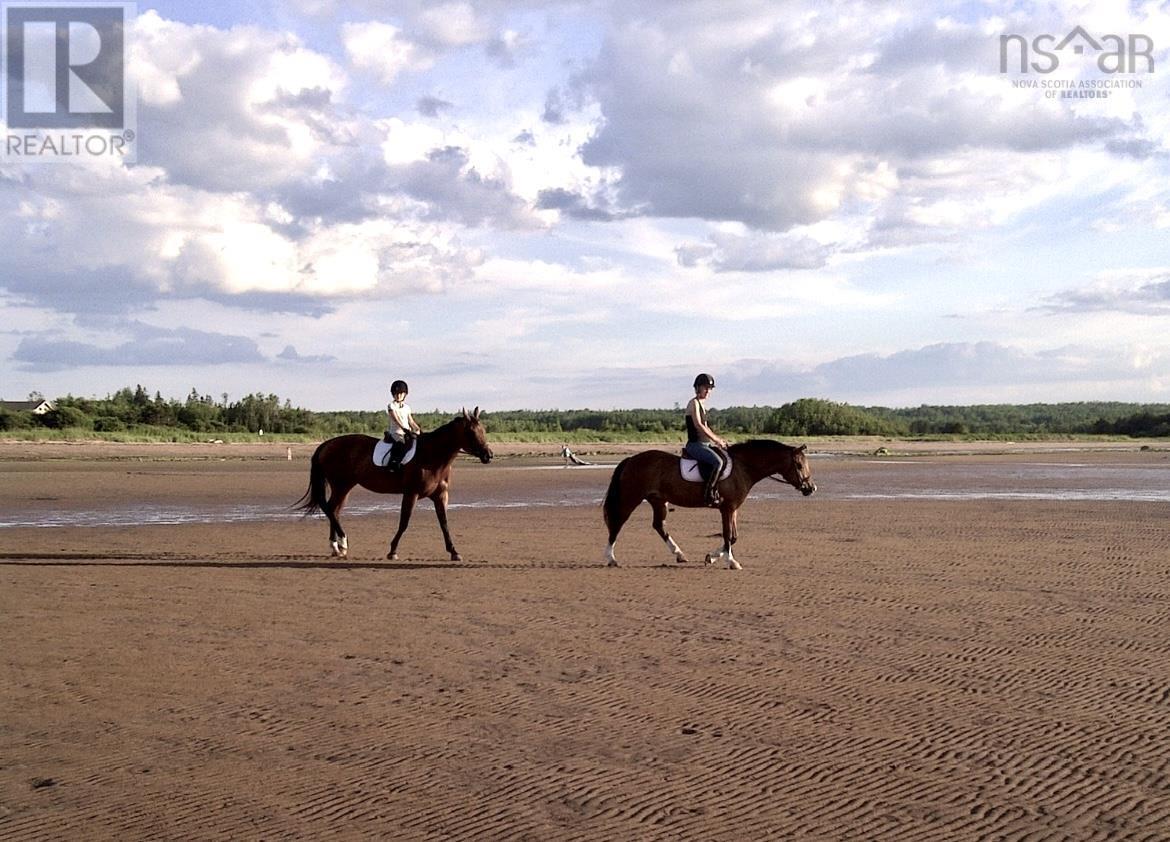 1316 Blue Sea Road, Malagash Point, Nova Scotia  B0K 1E0 - Photo 36 - 202513796