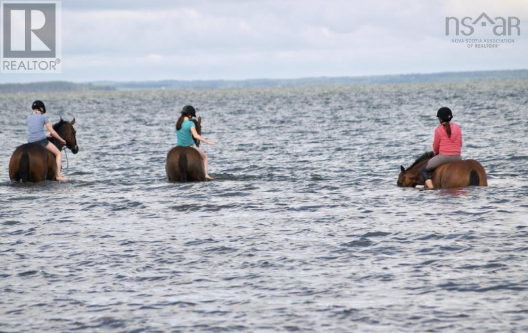 1316 Blue Sea Road, Malagash Point, Nova Scotia  B0K 1E0 - Photo 35 - 202513796