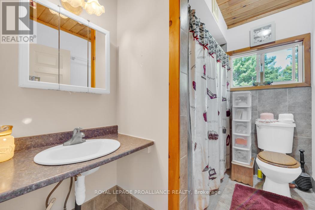 11447 Highway 41, Addington Highlands, Ontario  K0H 1Z0 - Photo 11 - X12381471