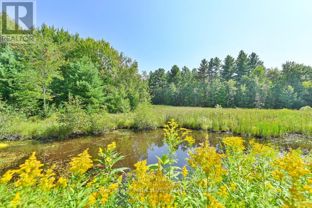 11447 Highway 41, Addington Highlands, Ontario  K0H 1Z0 - Photo 34 - X12381471