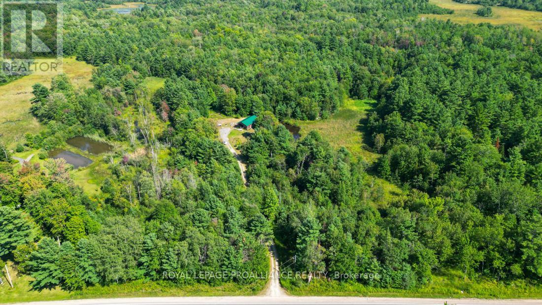 11447 Highway 41, Addington Highlands, Ontario  K0H 1Z0 - Photo 35 - X12381471