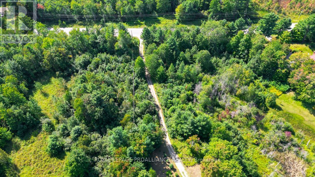 11447 Highway 41, Addington Highlands, Ontario  K0H 1Z0 - Photo 41 - X12381471