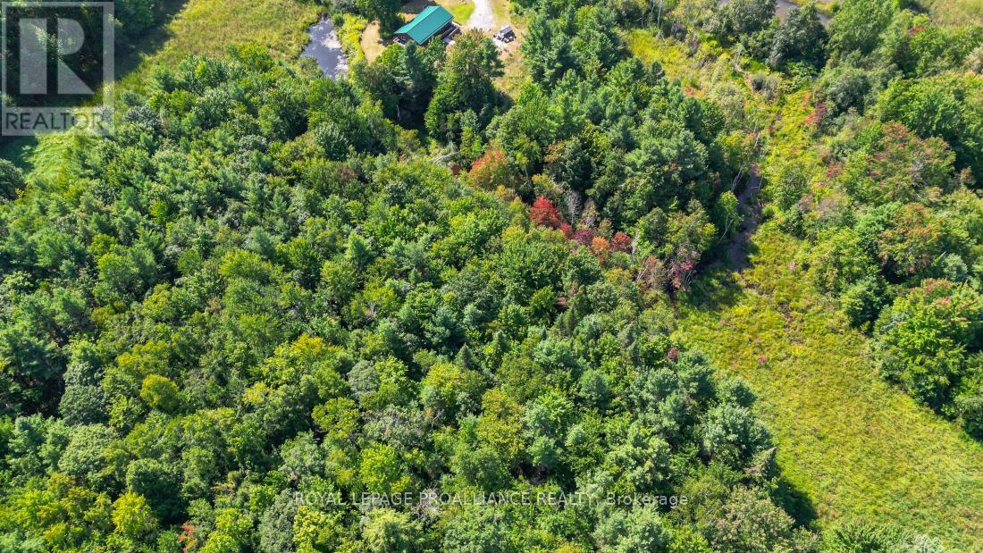 11447 Highway 41, Addington Highlands, Ontario  K0H 1Z0 - Photo 45 - X12381471