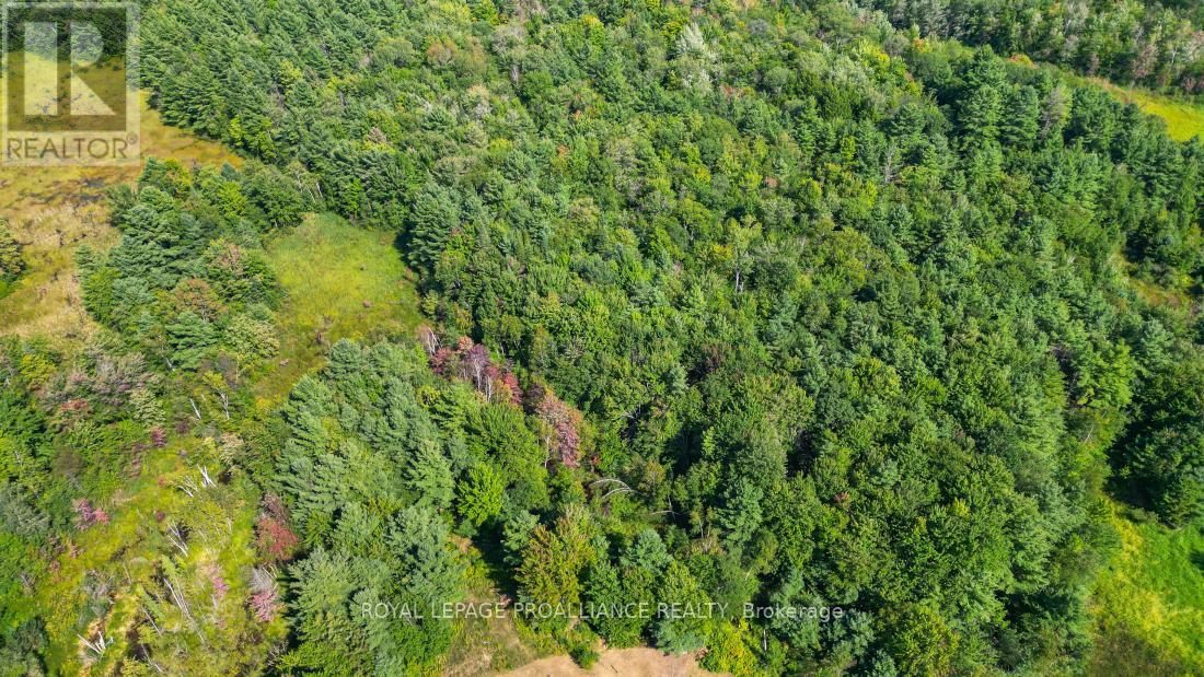 11447 Highway 41, Addington Highlands, Ontario  K0H 1Z0 - Photo 46 - X12381471