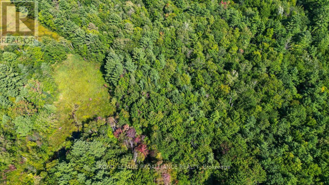 11447 Highway 41, Addington Highlands, Ontario  K0H 1Z0 - Photo 47 - X12381471