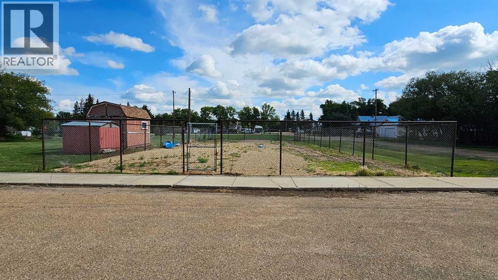 113 1 Street E, Alliance, Alberta  T0B 0A0 - Photo 3 - A2243936