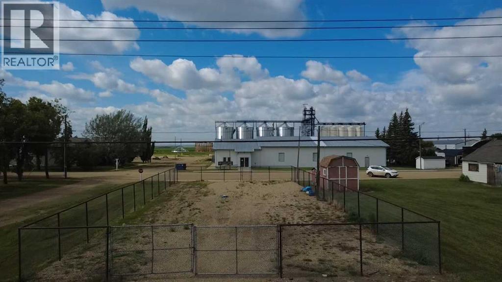 113 1 Street E, Alliance, Alberta  T0B 0A0 - Photo 2 - A2243936