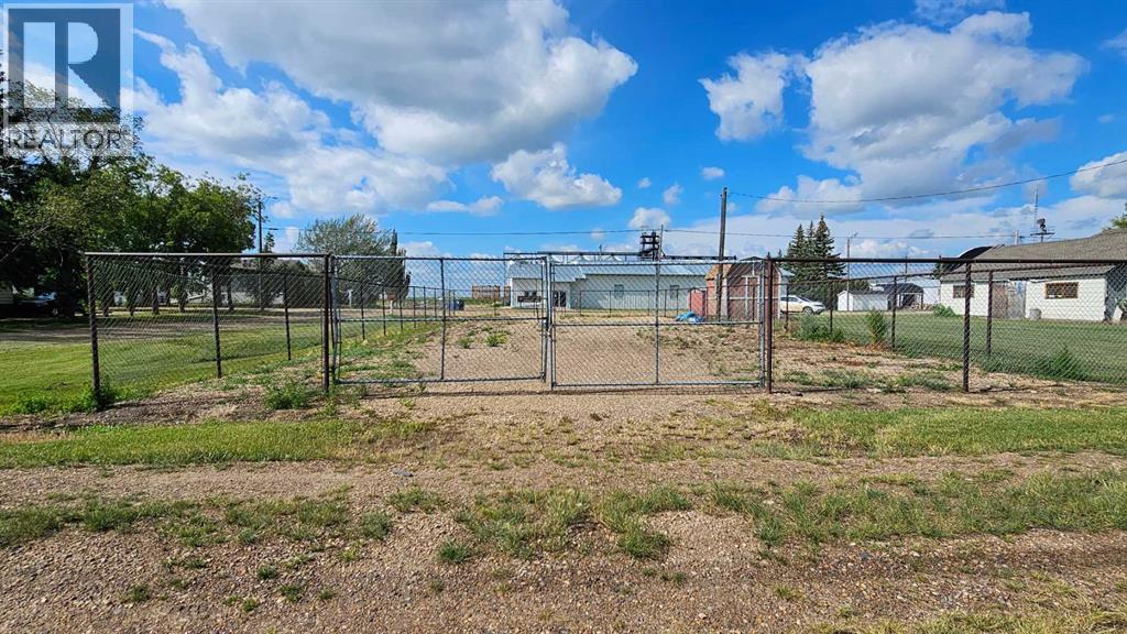 113 1 Street E, Alliance, Alberta  T0B 0A0 - Photo 4 - A2243936