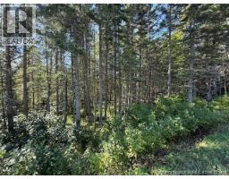 LOT LeBlanc Road, Dundee, New Brunswick