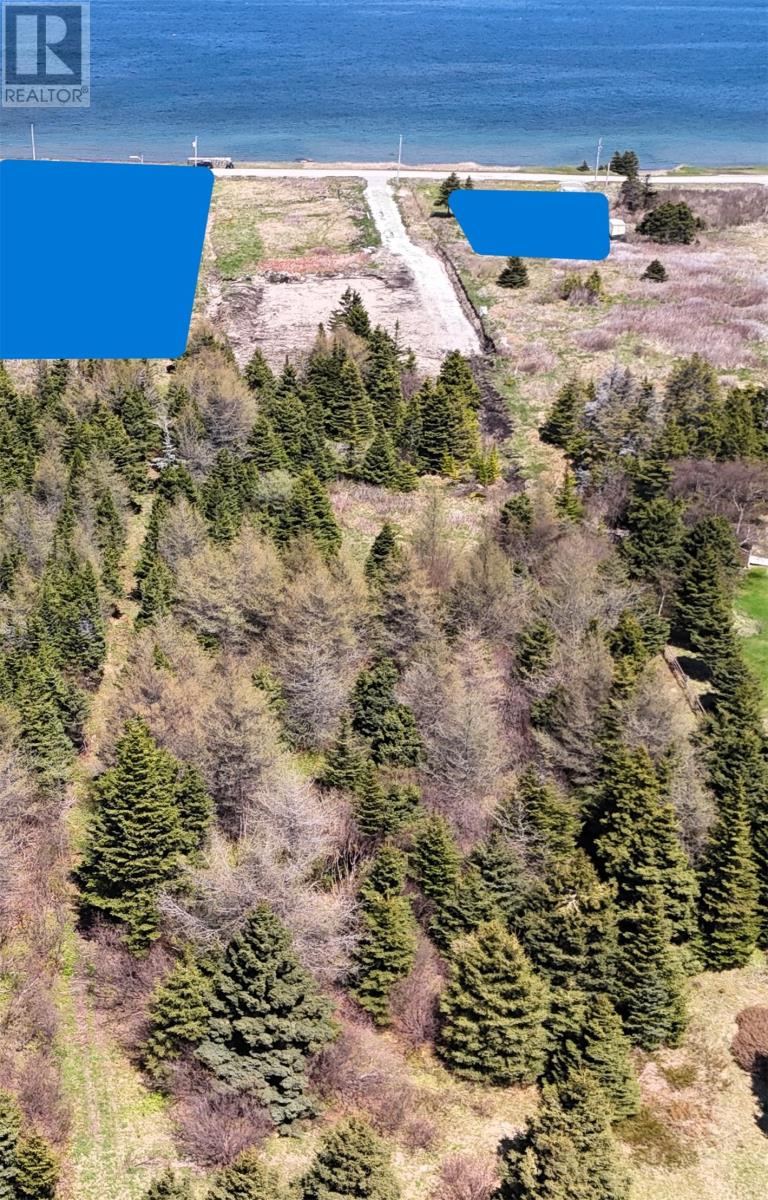 281 B Bayview Lane, Boswarlos, Newfoundland & Labrador  A0N 1A0 - Photo 10 - 1285795