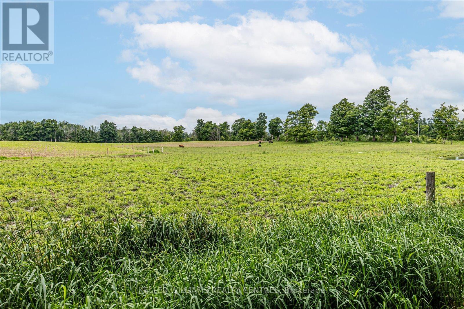 4956 Fifth Line, Erin, Ontario  L7J 2J8 - Photo 42 - X12381449