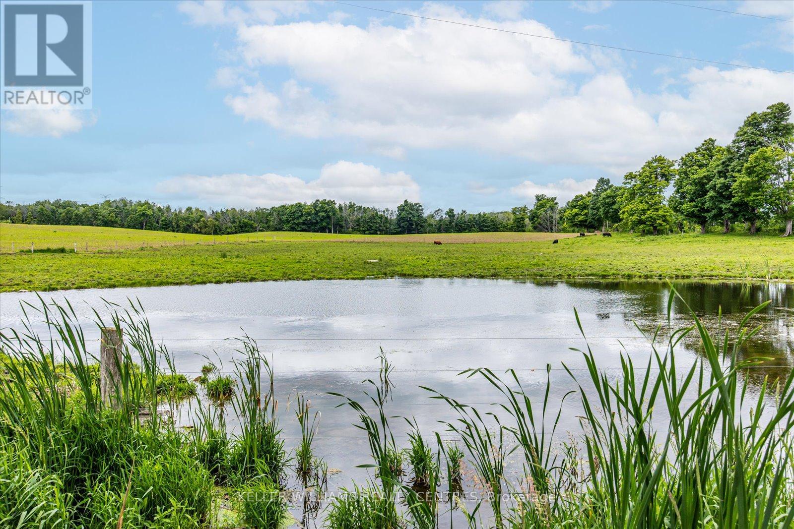 4956 Fifth Line, Erin, Ontario  L7J 2J8 - Photo 19 - X12381450