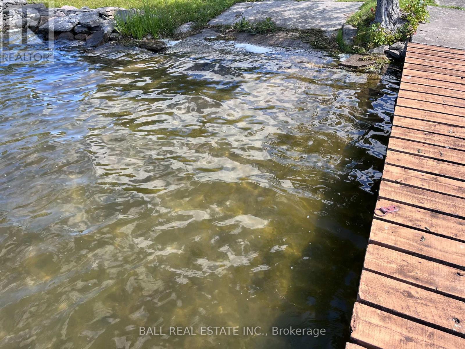 23 Valley View Lane, Trent Hills, Ontario  K0L 1Y0 - Photo 5 - X12381753