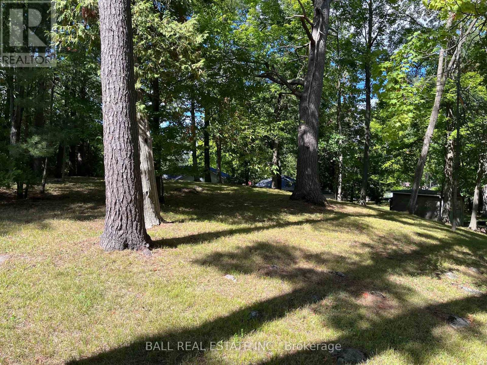 23 Valley View Lane, Trent Hills, Ontario  K0L 1Y0 - Photo 6 - X12381753