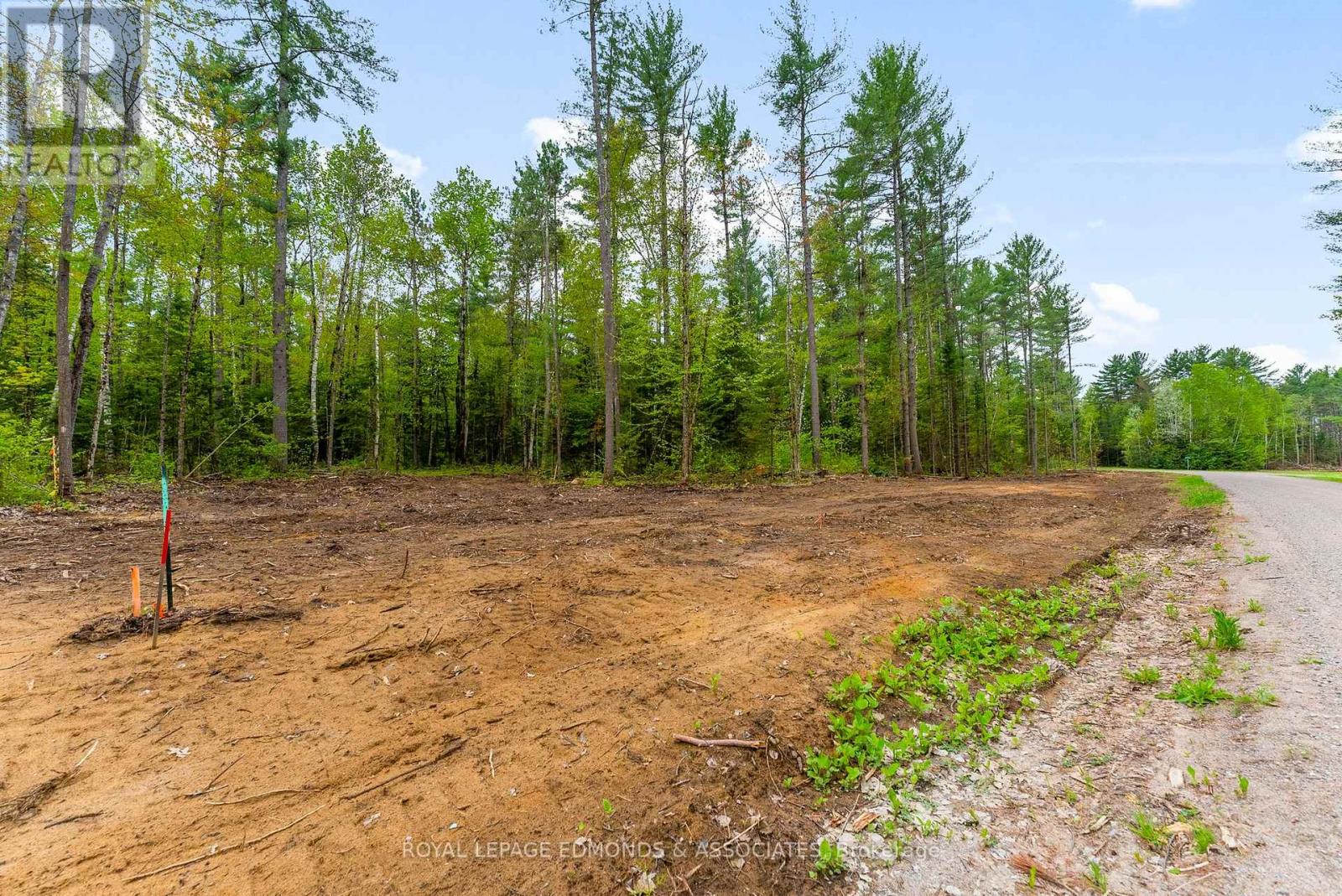 00 Nangor Trail, Whitewater Region, Ontario  K0J 2L0 - Photo 3 - X12381816
