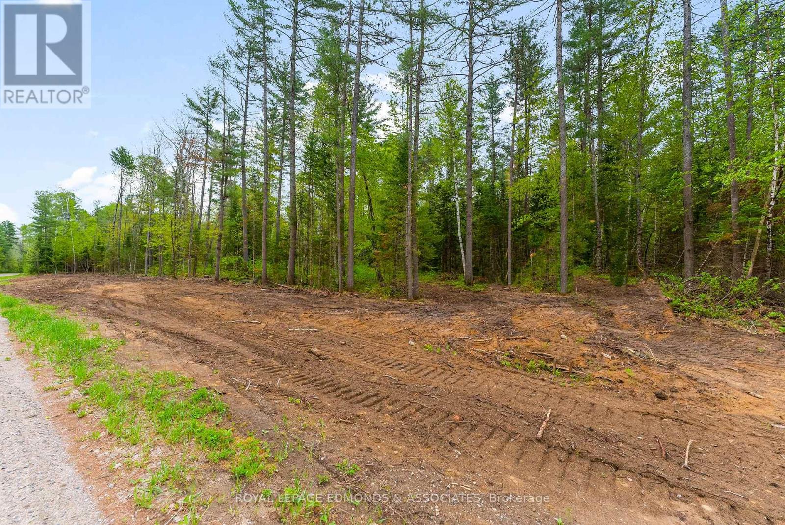 00 Nangor Trail, Whitewater Region, Ontario  K0J 2L0 - Photo 4 - X12381816