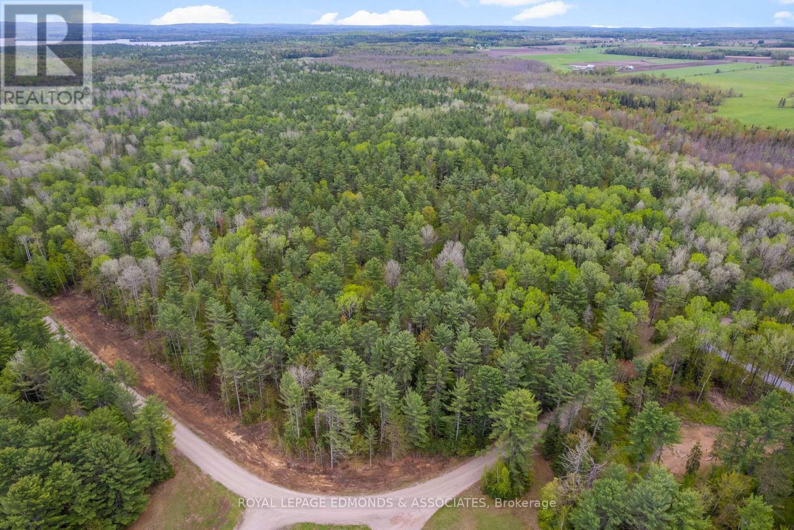 00 Nangor Trail, Whitewater Region, Ontario  K0J 2L0 - Photo 5 - X12381816