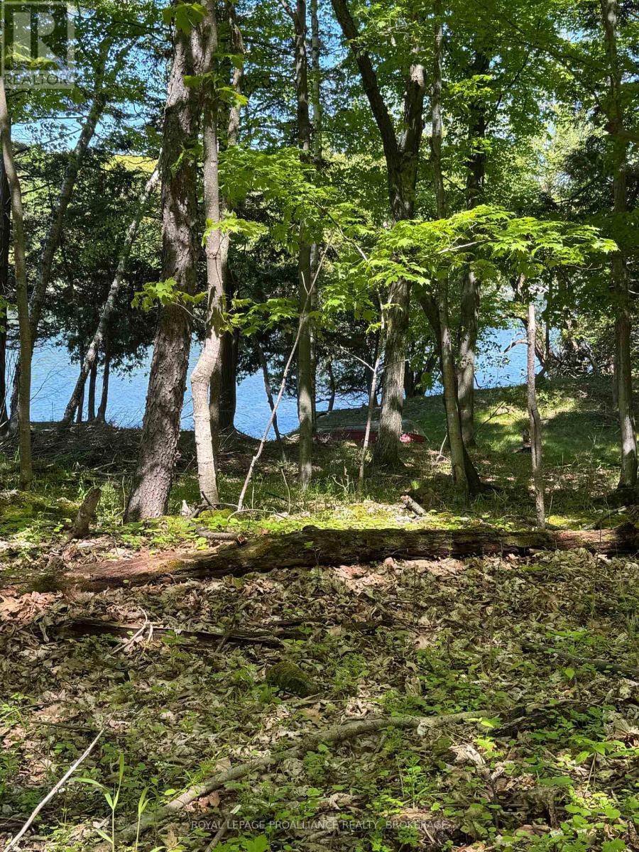 Pt Lt 6-7 16th Line Road, Frontenac Islands, Ontario  K0H 2Y0 - Photo 15 - X12381874