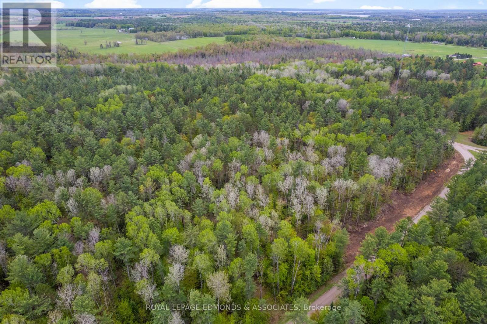0000 Nangor Trail, Whitewater Region, Ontario  K0J 2L0 - Photo 5 - X12381860