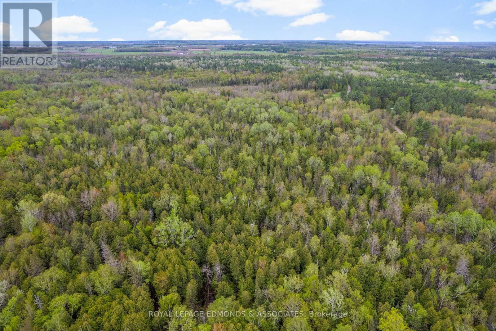 0000 Nangor Trail, Whitewater Region, Ontario  K0J 2L0 - Photo 7 - X12381860