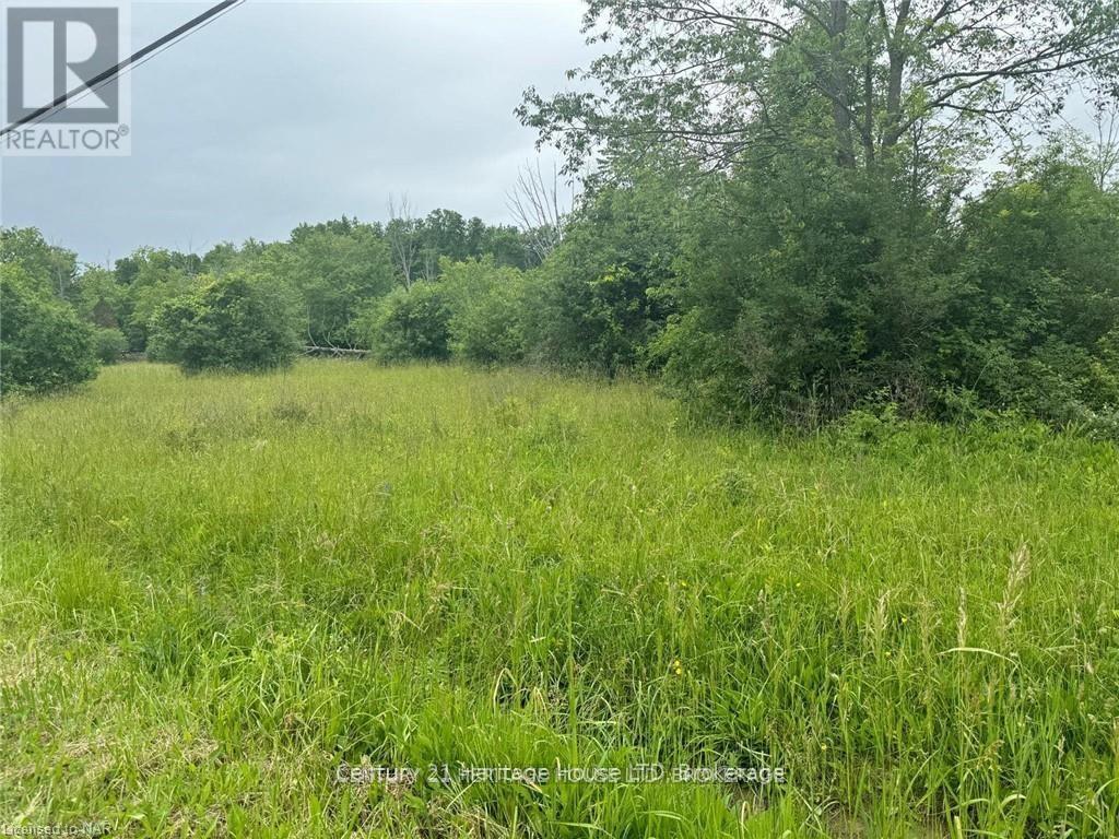 Vl Rosehill Road, Fort Erie, Ontario  L2A 5M4 - Photo 3 - X12381893