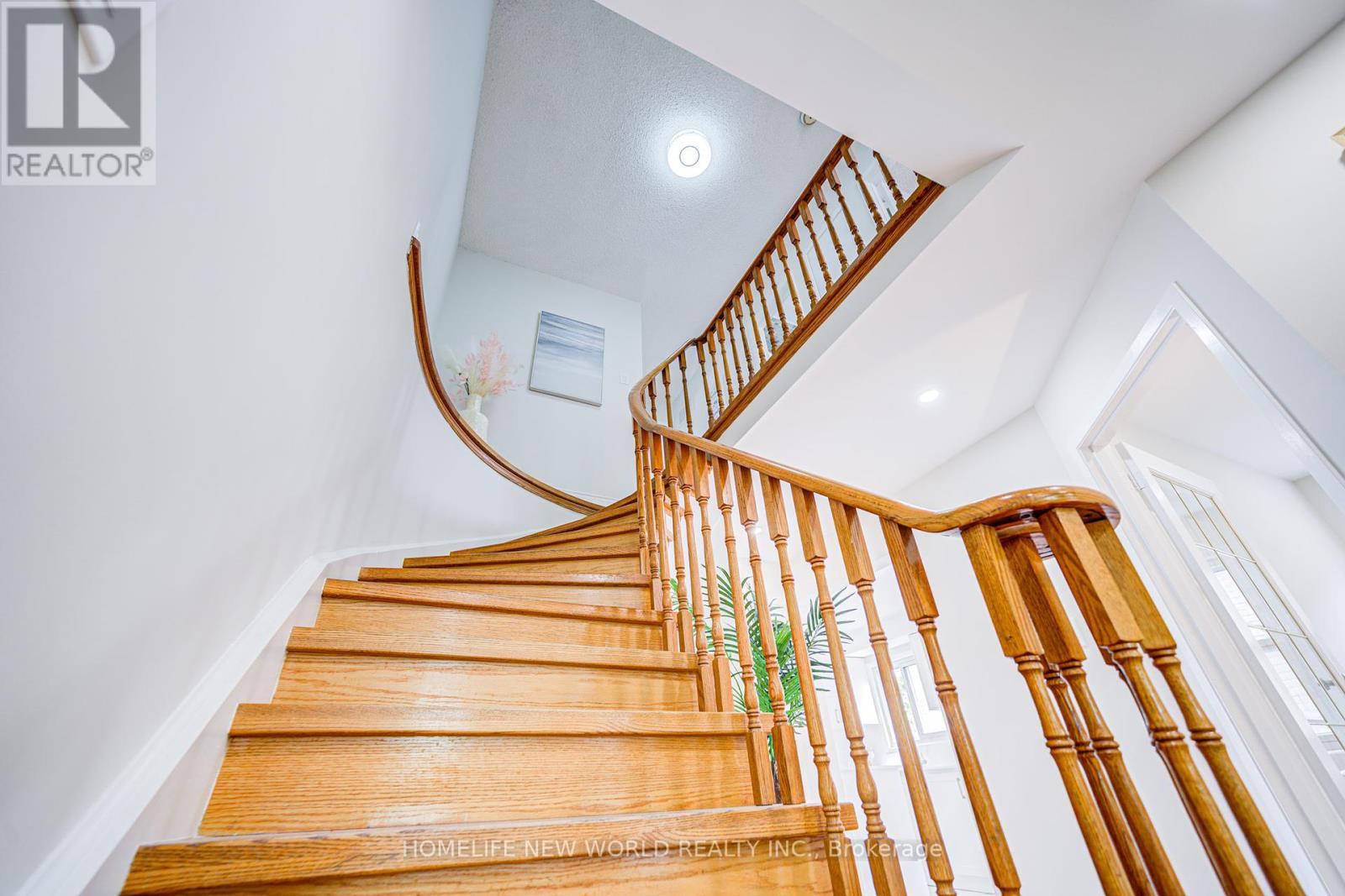 Property at 27 MASSIE STREET image 4