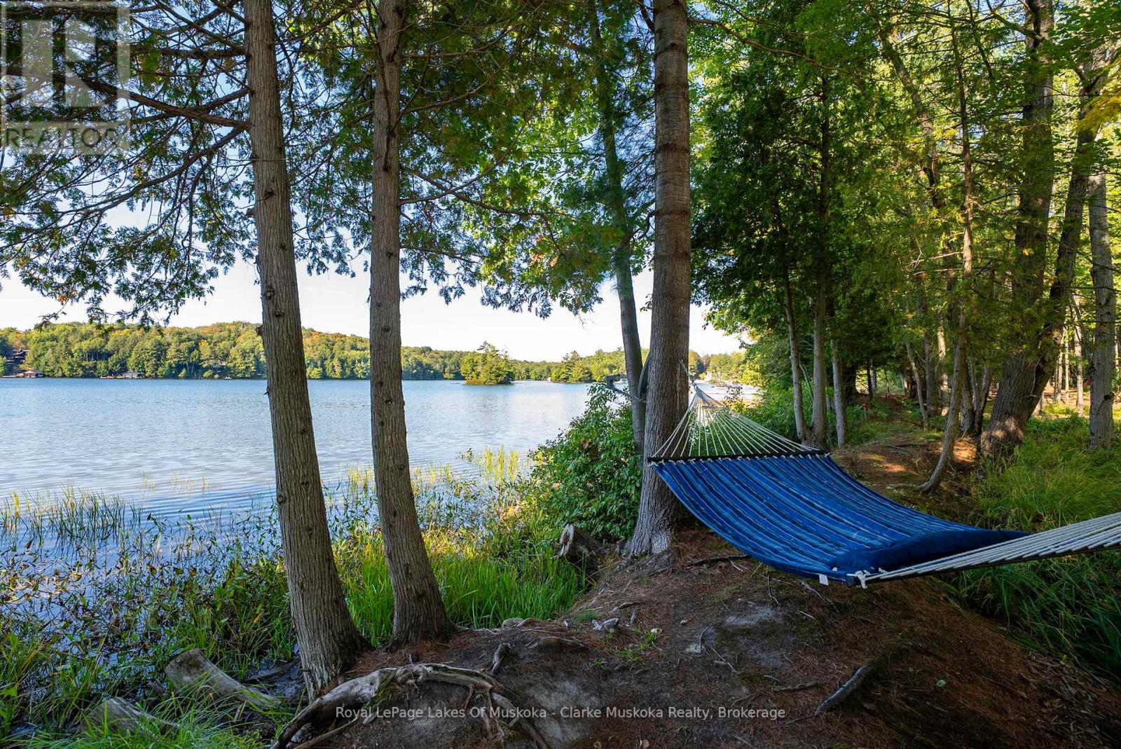 56 Blair Point Road, Seguin, Ontario  P0C 1J0 - Photo 43 - X12360208