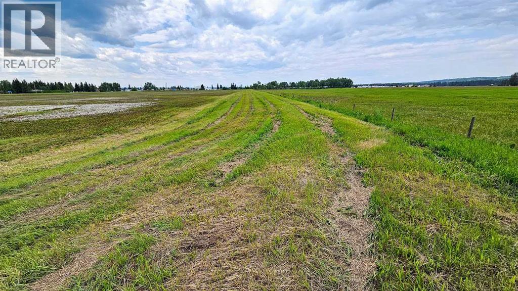 1200 Highway 584, Sundre, Alberta  T0M 1X0 - Photo 12 - A2253941