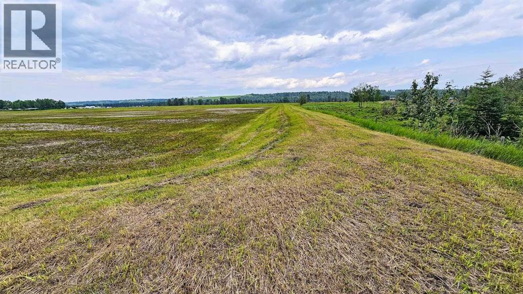 1200 Highway 584, Sundre, Alberta  T0M 1X0 - Photo 6 - A2253941