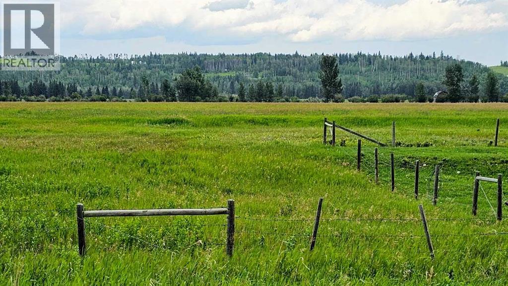 1200 Highway 584, Sundre, Alberta  T0M 1X0 - Photo 9 - A2253941