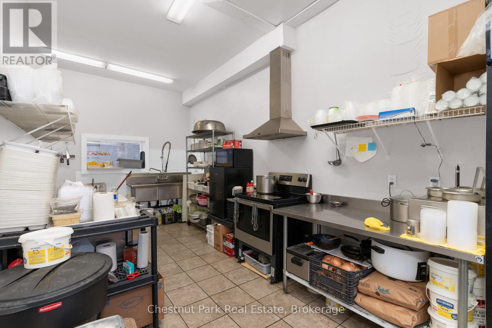 16 Trowbridge Street W, Meaford, Ontario  N4L 1N2 - Photo 30 - X12382170