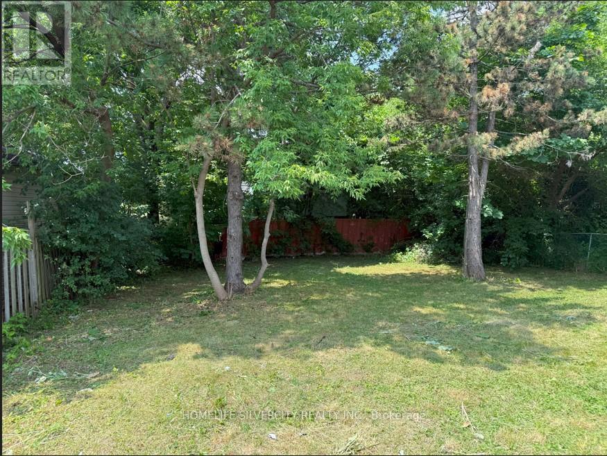 30 Woodward Avenue, Brampton, Ontario  L6V 1K1 - Photo 4 - W12382274