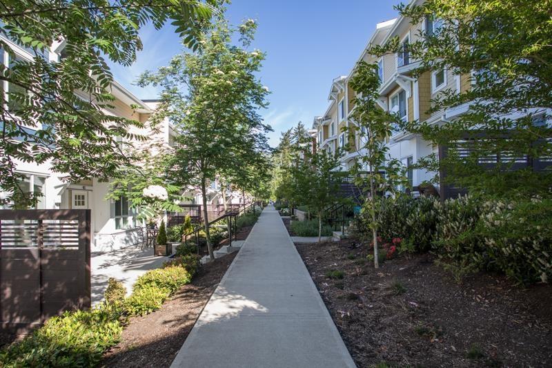 44 16561 17a Avenue, Surrey, British Columbia  V3Z 1J3 - Photo 4 - R3019928
