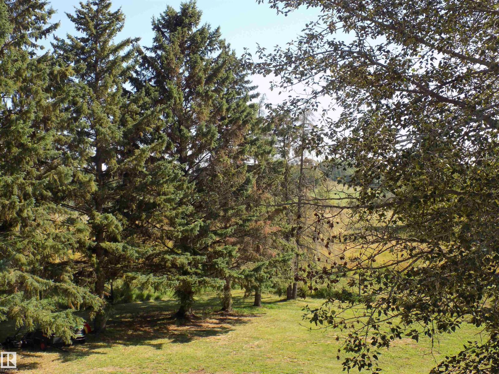 43, 464079 Rge Rd 244, Rural Wetaskiwin County, Alberta  T9A 1X1 - Photo 33 - E4455897