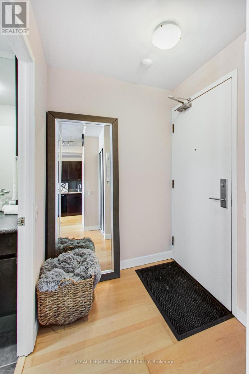 711 - 38 Niagara Street, Toronto, Ontario  M5V 3X1 - Photo 14 - C12382385