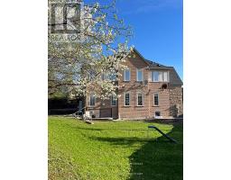 BASEMENT - 38 KIMBERLY COURT, Richmond Hill, Ontario