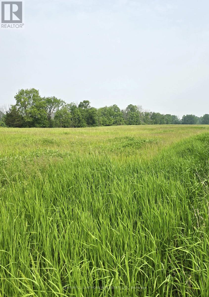 4893 Old Highway 2 Highway, Belleville, Ontario  K8V 1M1 - Photo 36 - X12382591